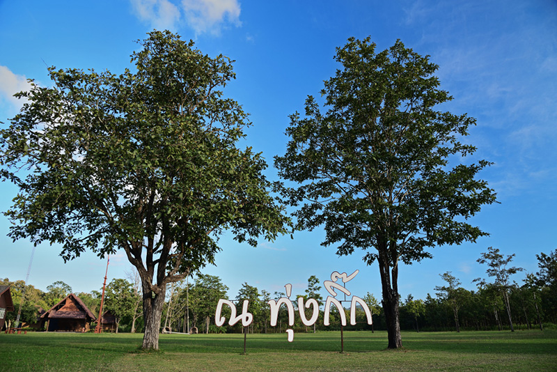 เที่ยวลำพูน 2565