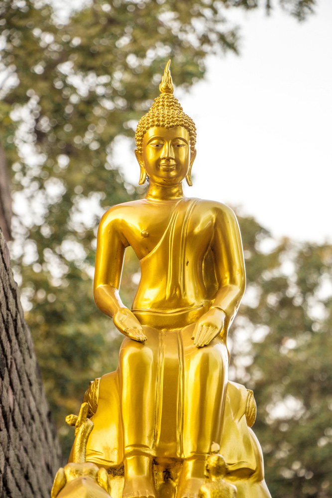 พระปางป่าเลไลยก์