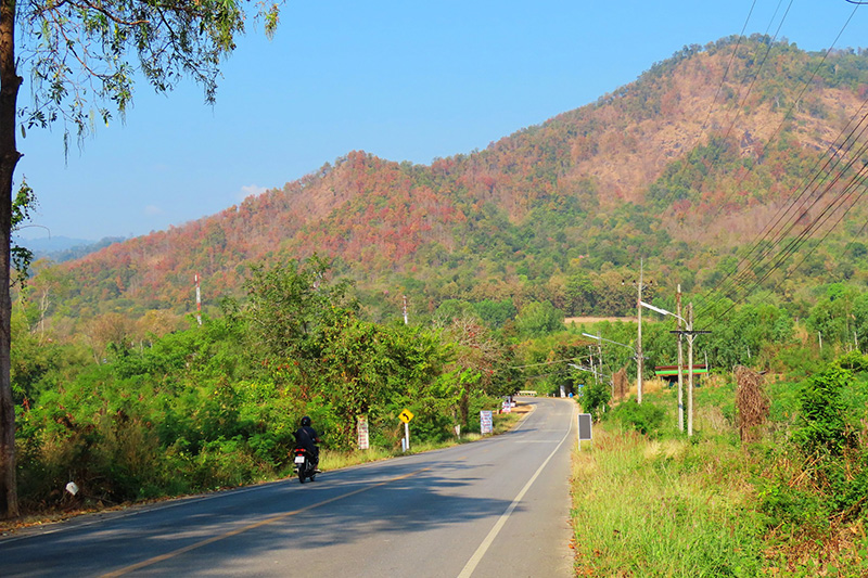 ป่าเปลี่ยนสี อุทยานแห่งชาติคลองลาน 2569