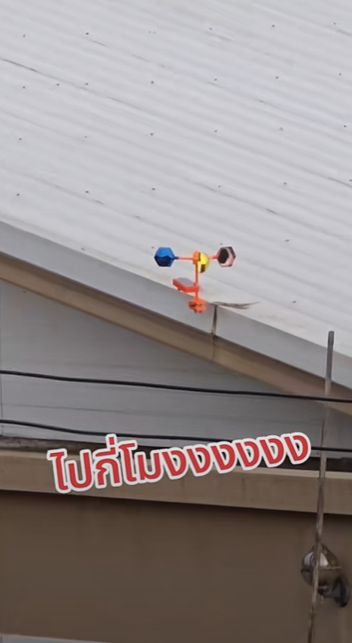 ไล่นกพิราบ