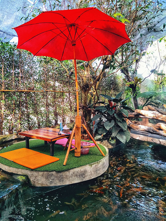 ร้านคาเฟ่สวนผลไม้