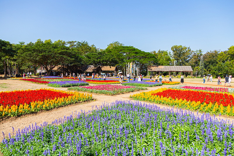 ที่เที่ยวสำหรับเด็ก