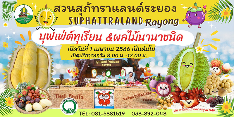 บุฟเฟต์ทุเรียน 2566