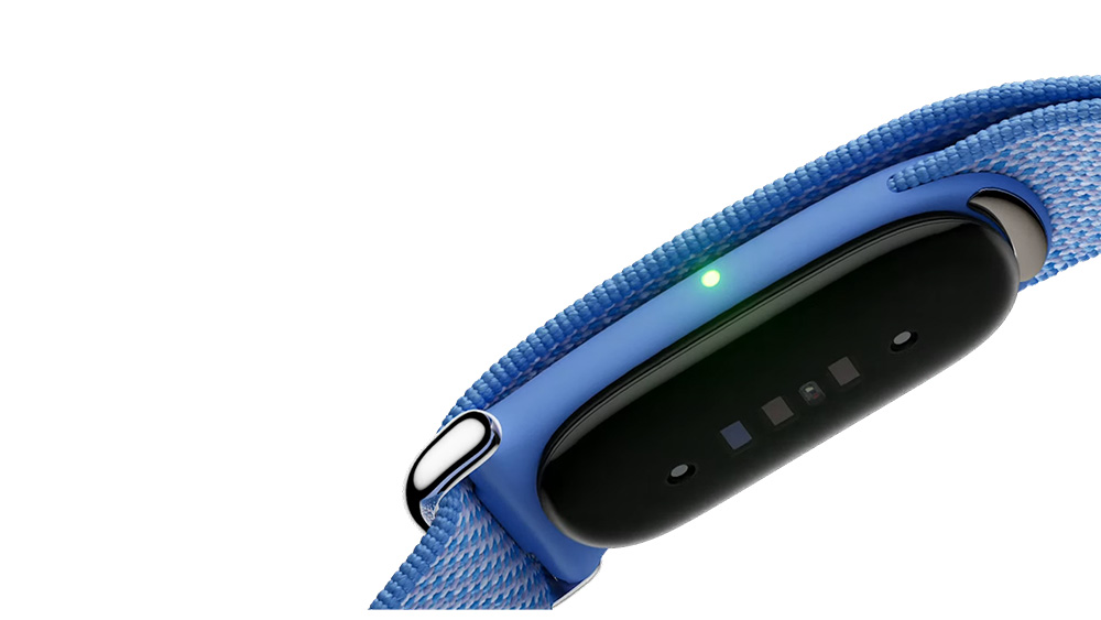 Google Fitbit Air