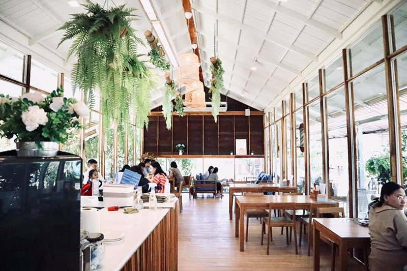 ร้านคาเฟ่สัตว์