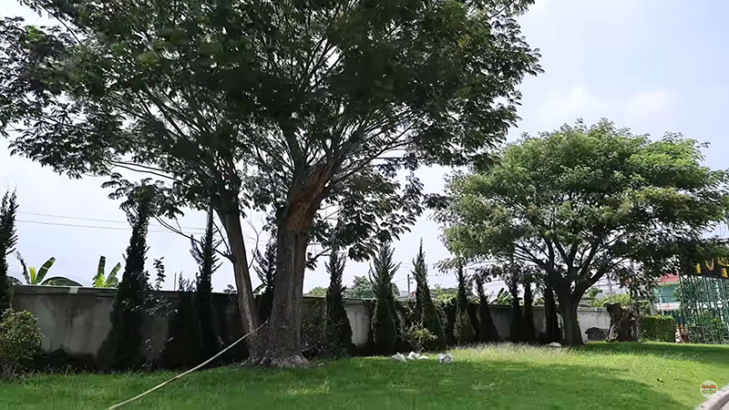 พลอย ชิดจันทร์ บ้านดารา