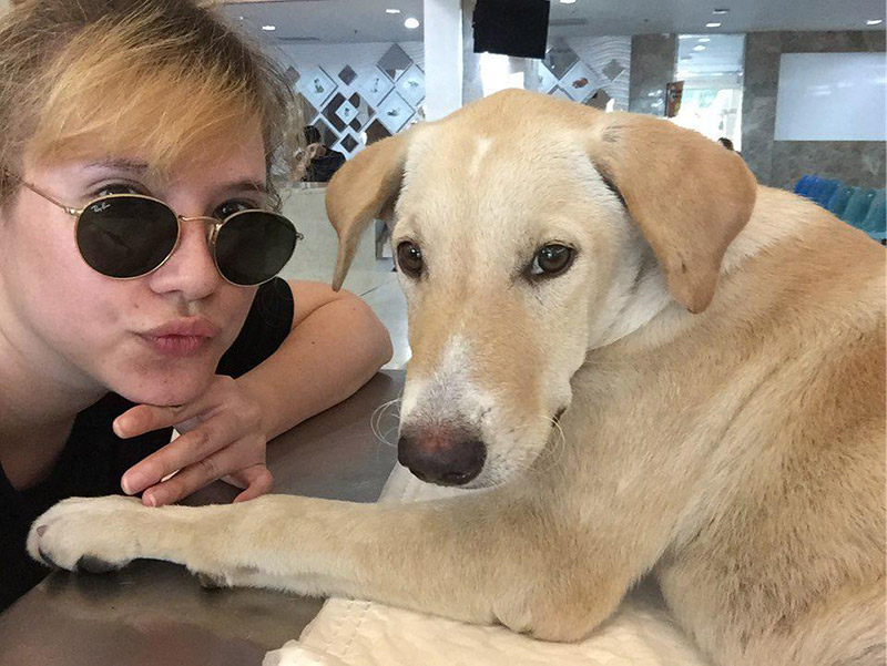 จิลล์ โรเจอร์