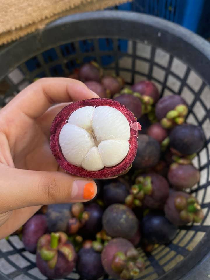 สั่งมังคุดออนไลน์