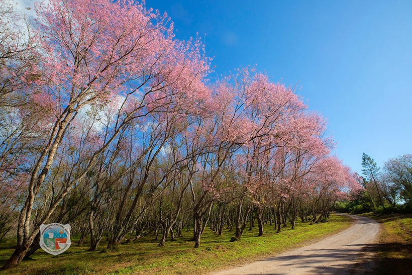 ภูลมโล 2569