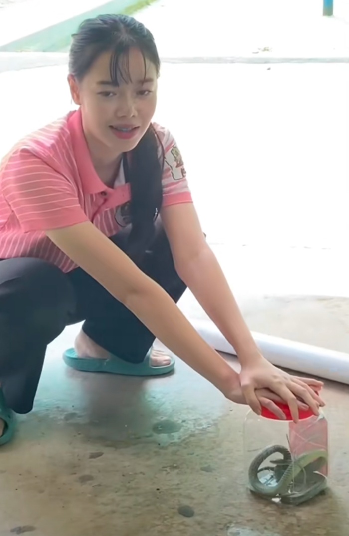 จับงูเขียว