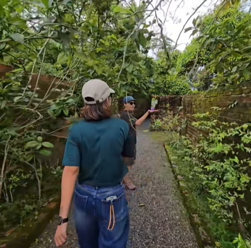 คาเฟ่ลับ