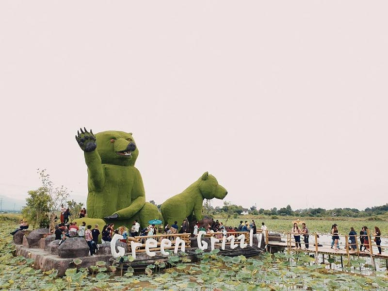 สถานที่ท่องเที่ยวGreen Grizzly