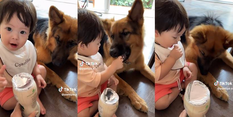 น้องไซอัลบลู