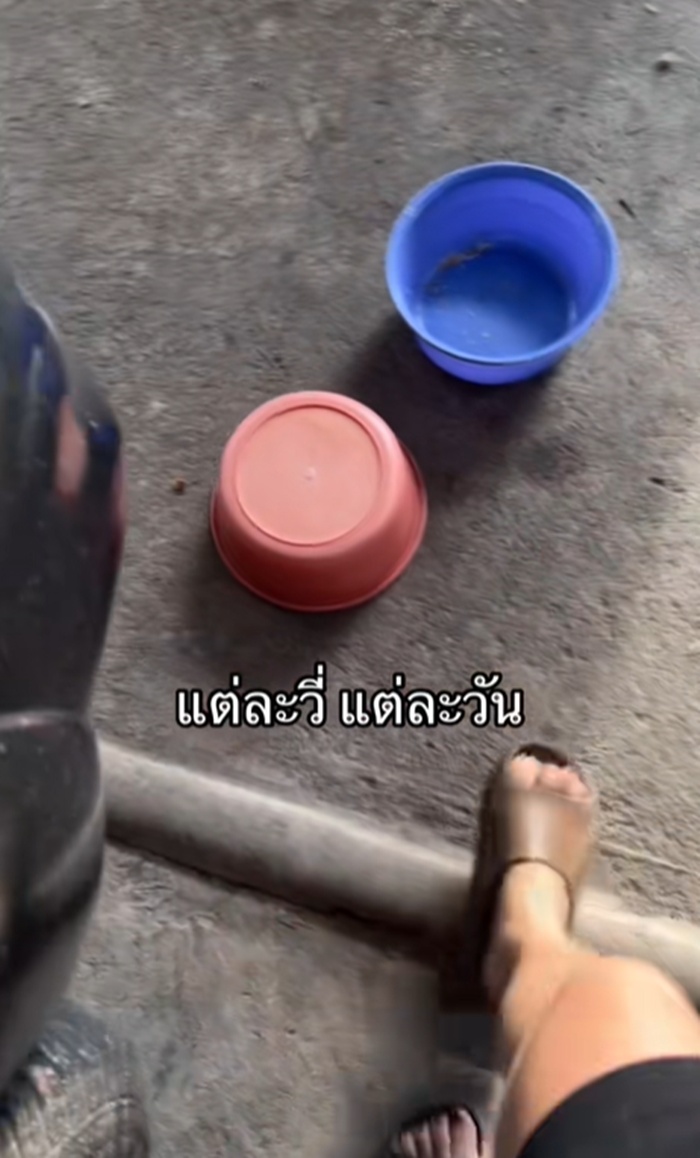 กะละมัง