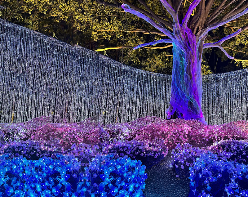 Lighting Installation พระราชวังพญาไท