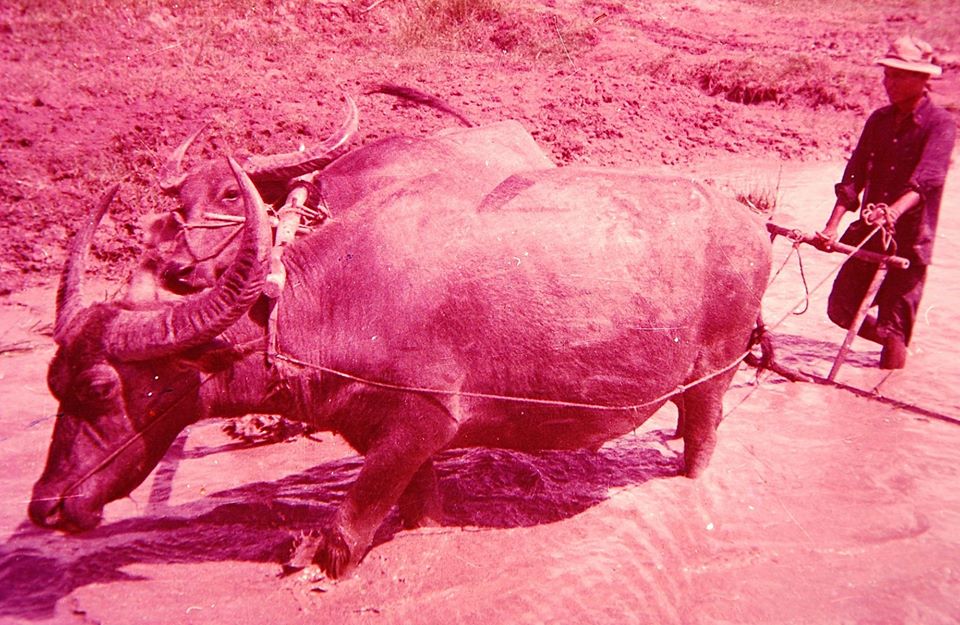 กรุงเทพฯ