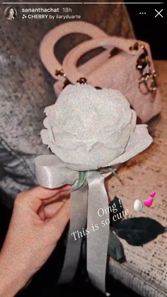 ฝน ศนันธฉัตร