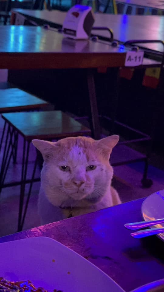 เด็กเอน