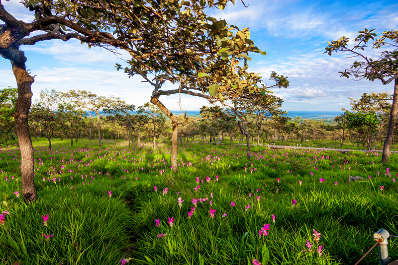 เที่ยวเดือนกรกฎาคม 66