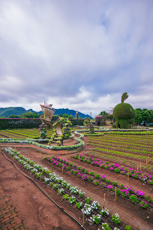 สวนเมเปิ้ล กาญจนบุรี 2569