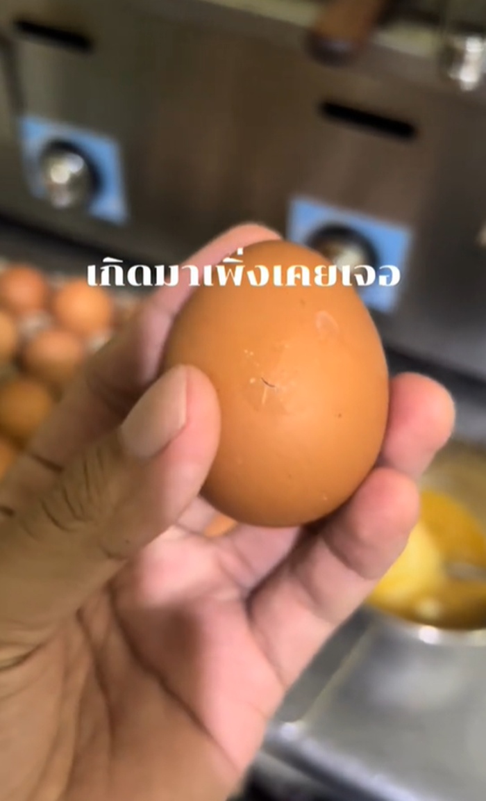ไข่ไก่