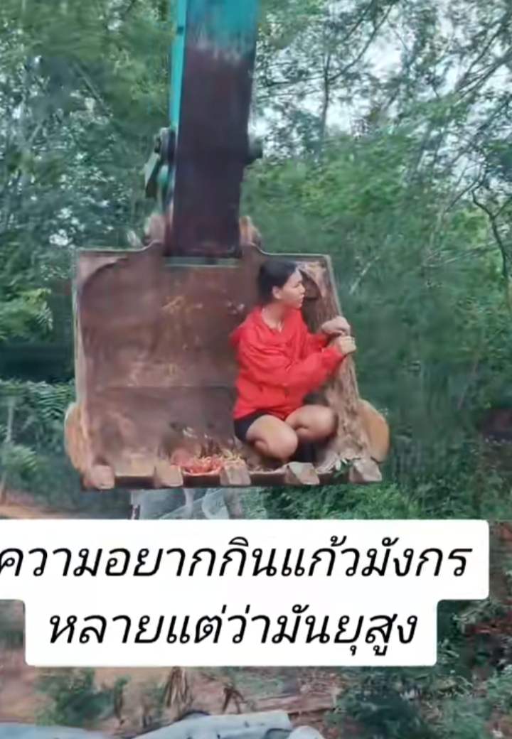 แก้วมังกร