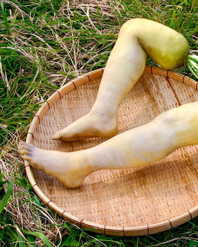 หัวไชเท้า