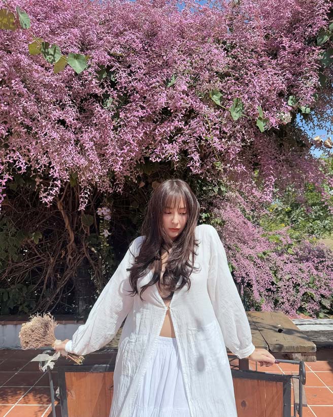 ชิปปี้ ศิรินทร์