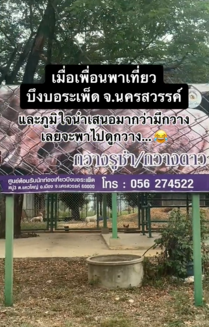 บึงบอระเพ็ด