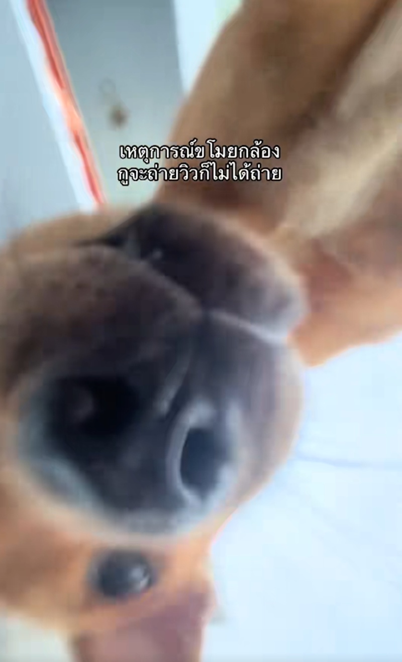 ตั้งกล้อง