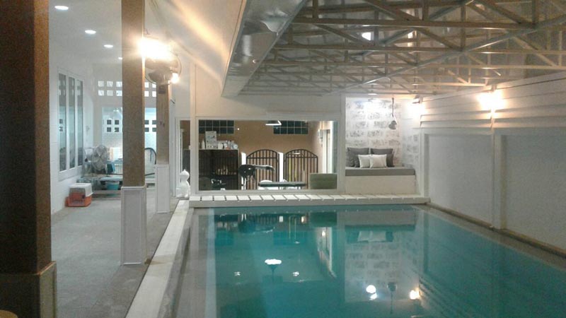โรงแรมแมว โรงแรมหมา