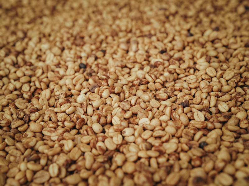 ที่เที่ยวเลย