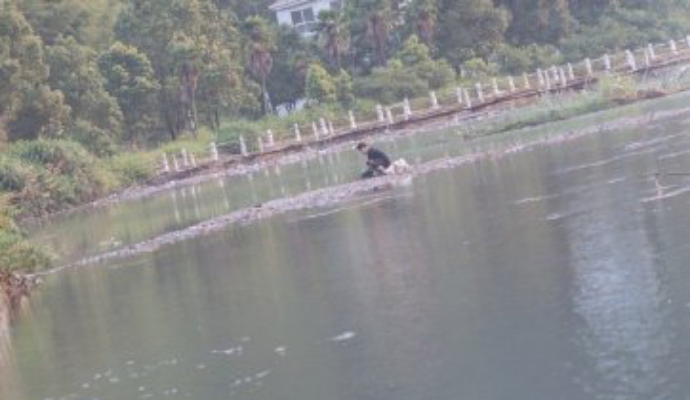 เน็ตไอดอล