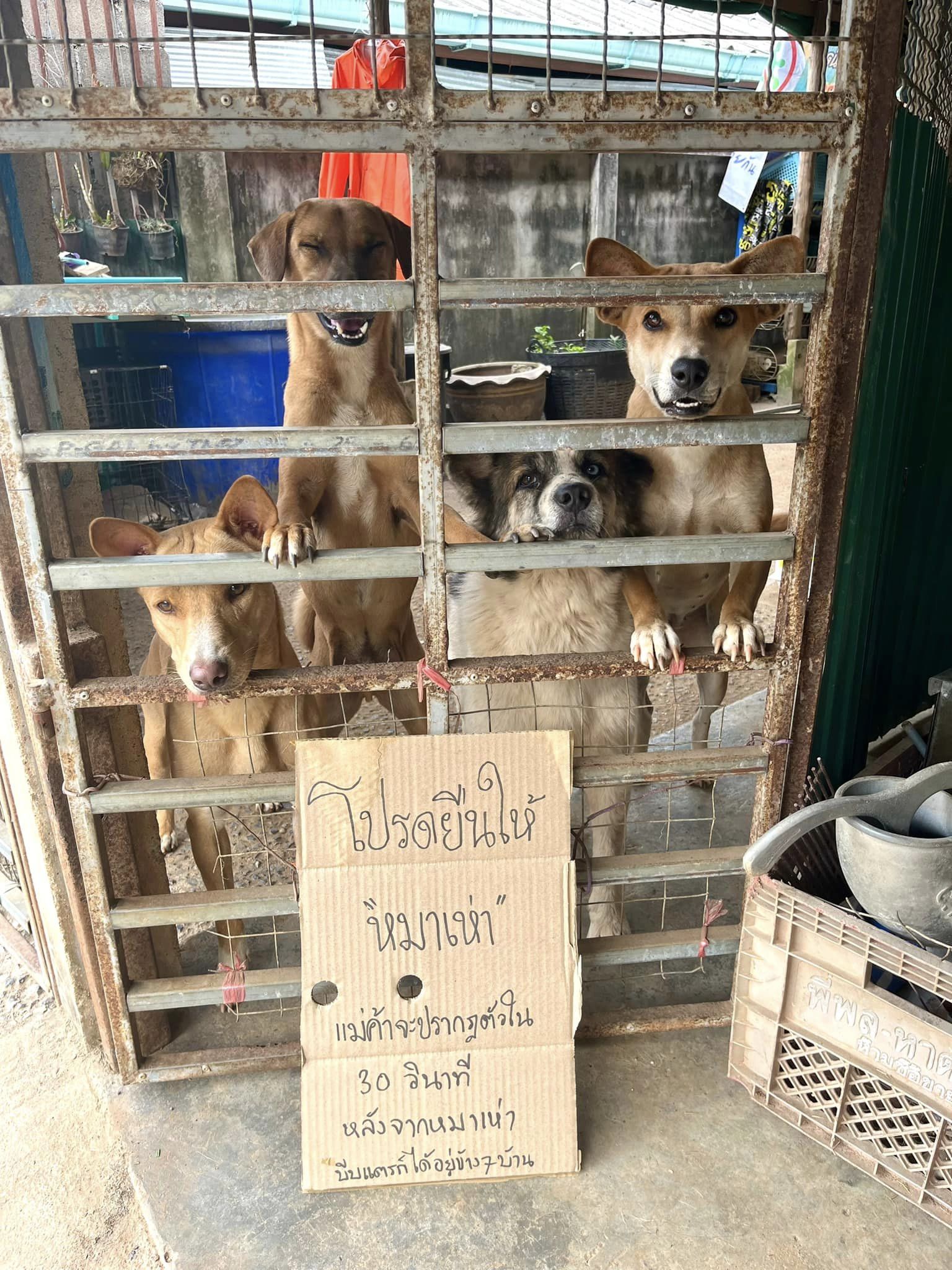 ขายผลไม้