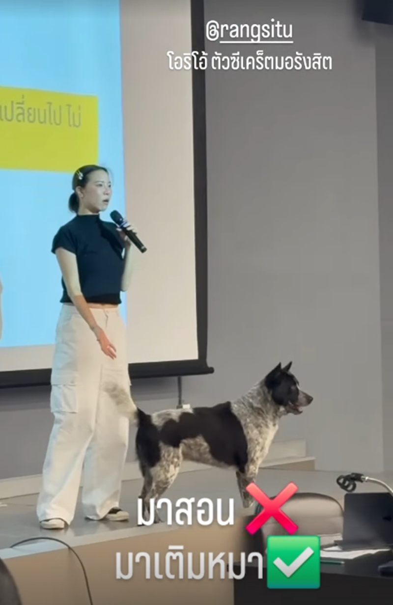 คริส หอวัง