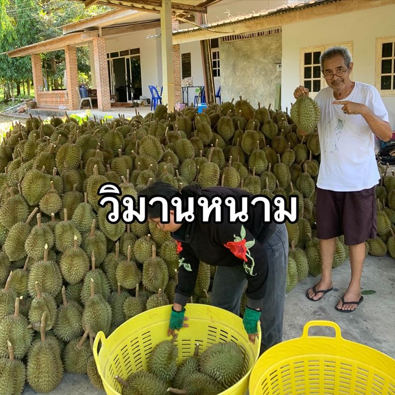 ชลิต เฟื่องอารมย์