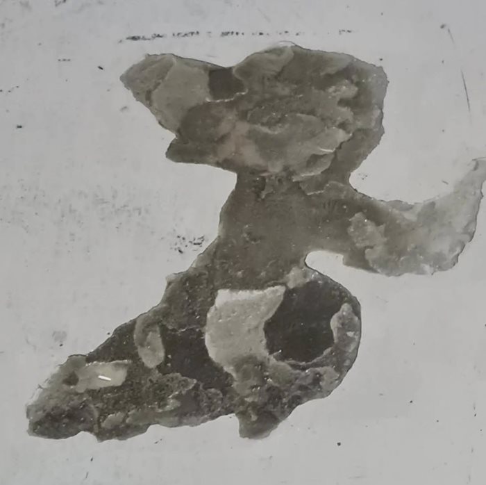 เจย์ ศุภกาญจน์