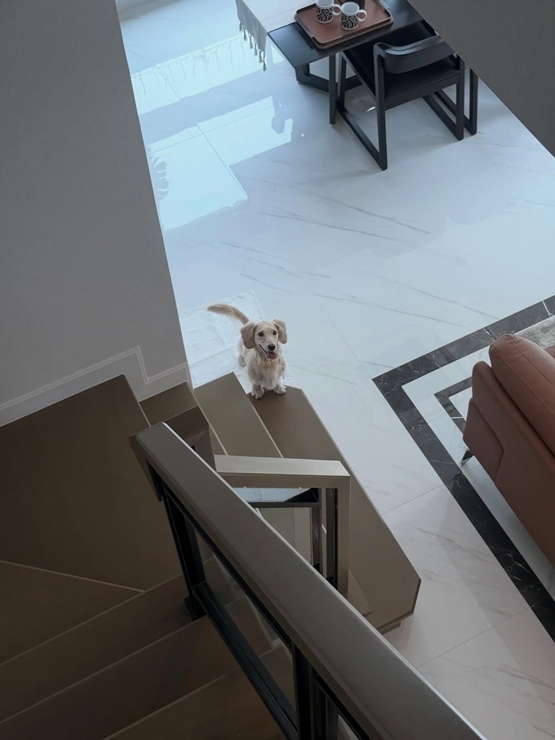 กิต พรอยมน