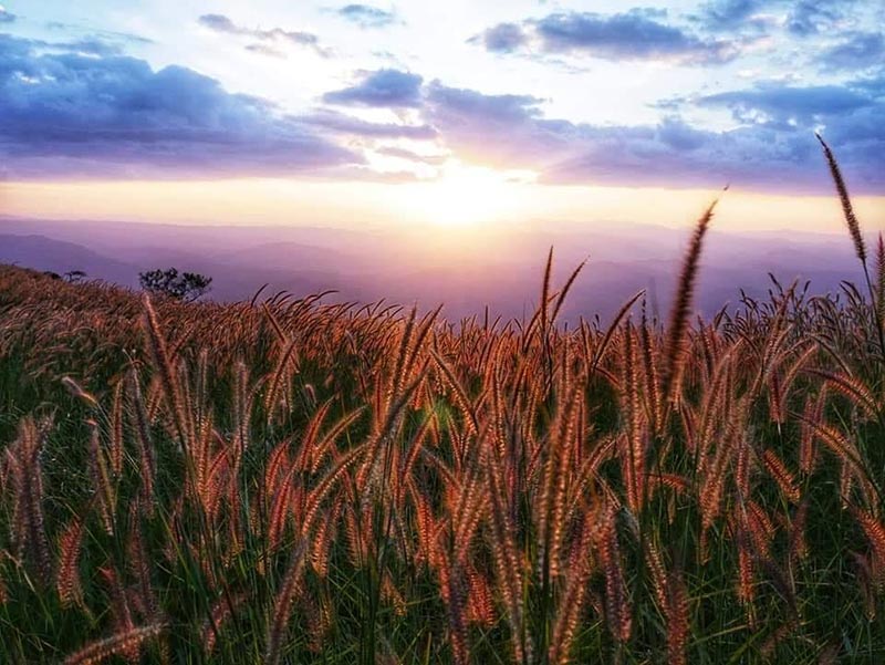 สถานที่ท่องเที่ยวดอยบ่าโจ๊ะโข้ว เชียงใหม่ 