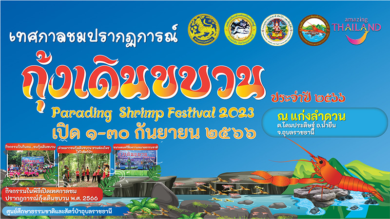 กุ้งเดินขบวน 2566