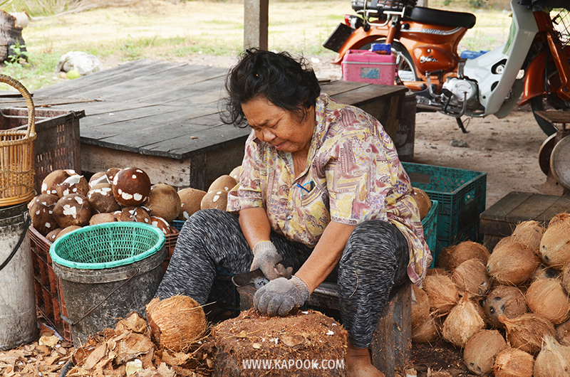 ท่องเที่ยวใหม่เมืองพัทยา