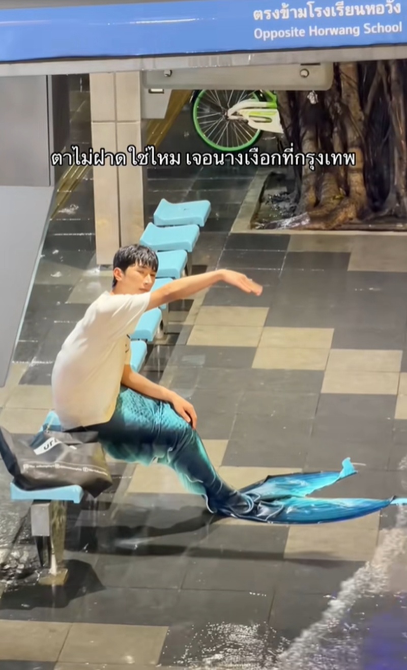 นางเงือก