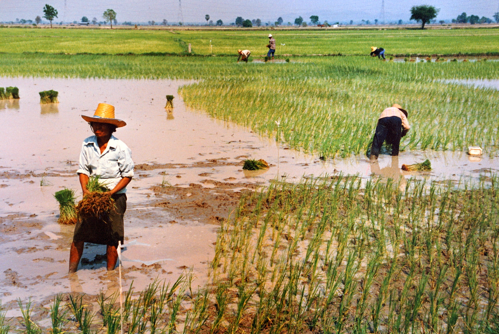 เมืองไทยในอดีต