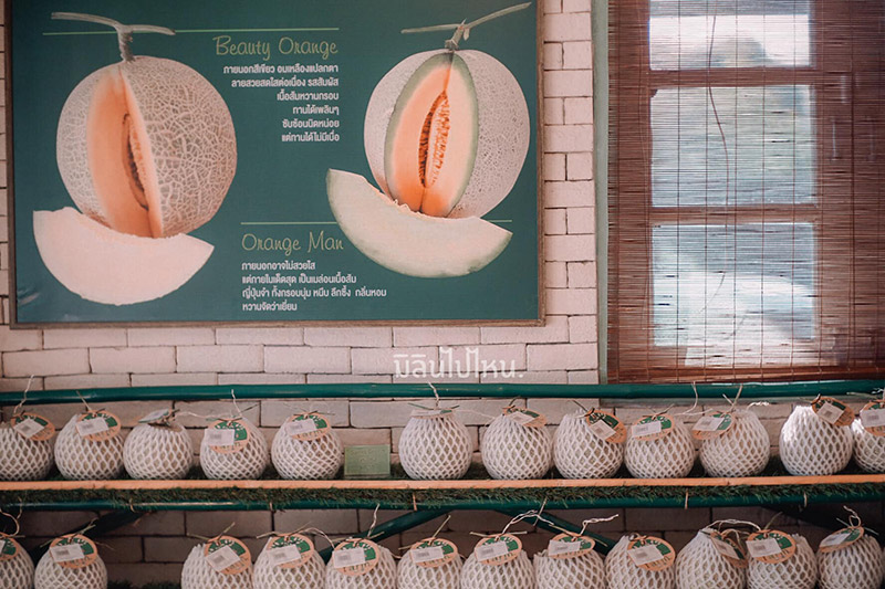 ร้านคาเฟ่สวนผลไม้