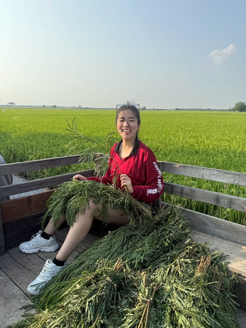 ก้อย อรัชพร