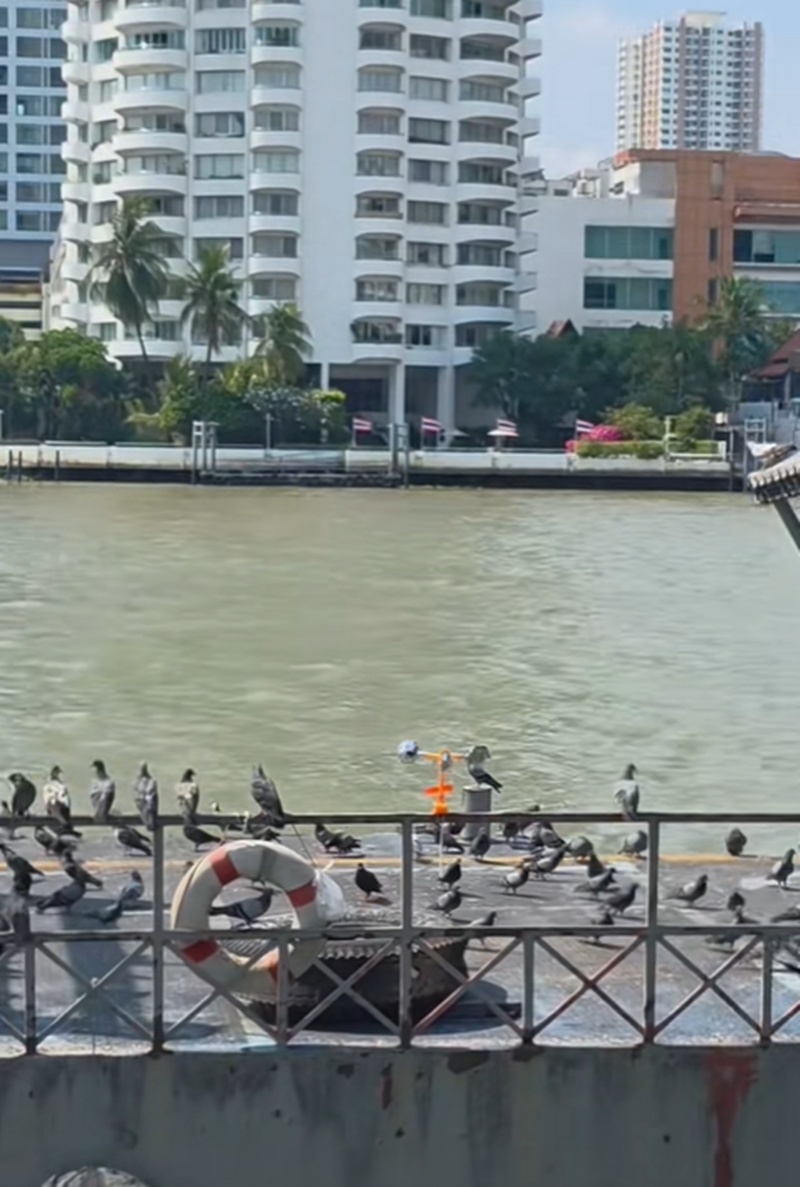 คริส หอวัง