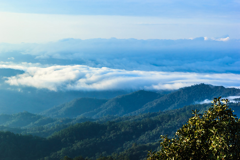 อำเภอเวียงแหง