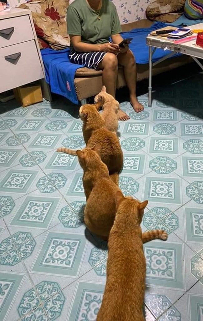 ไหว้แม่