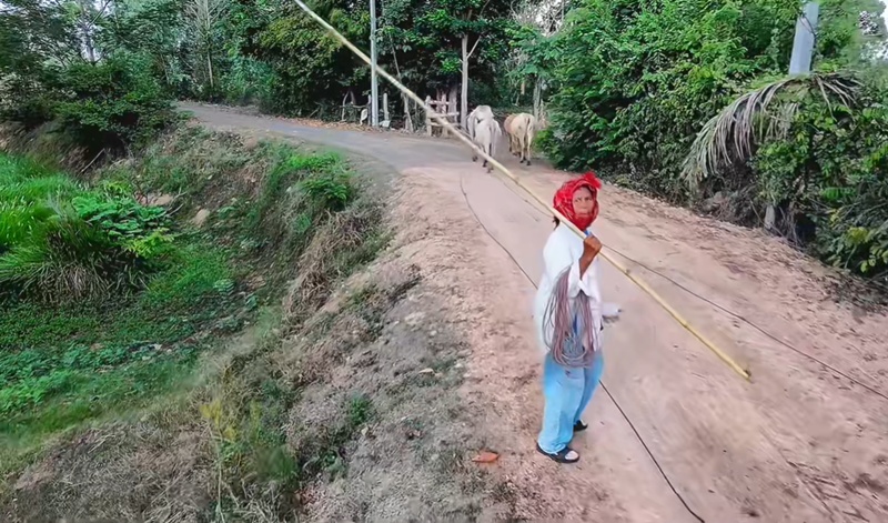 โดรนบิน