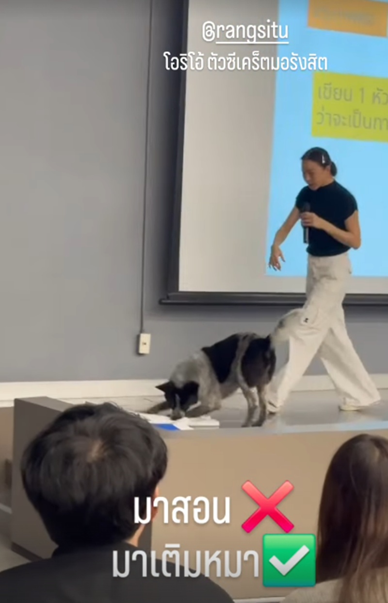 คริส หอวัง